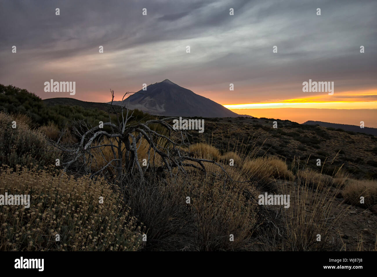 the teide volcano at sunset Stock Photo