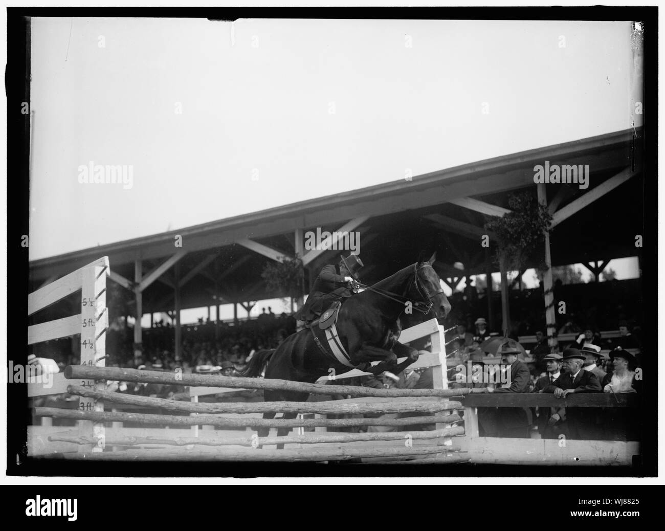 HORSE SHOWS. MISS DOROTHY DAVIS ON 'DELIGHT' Stock Photo