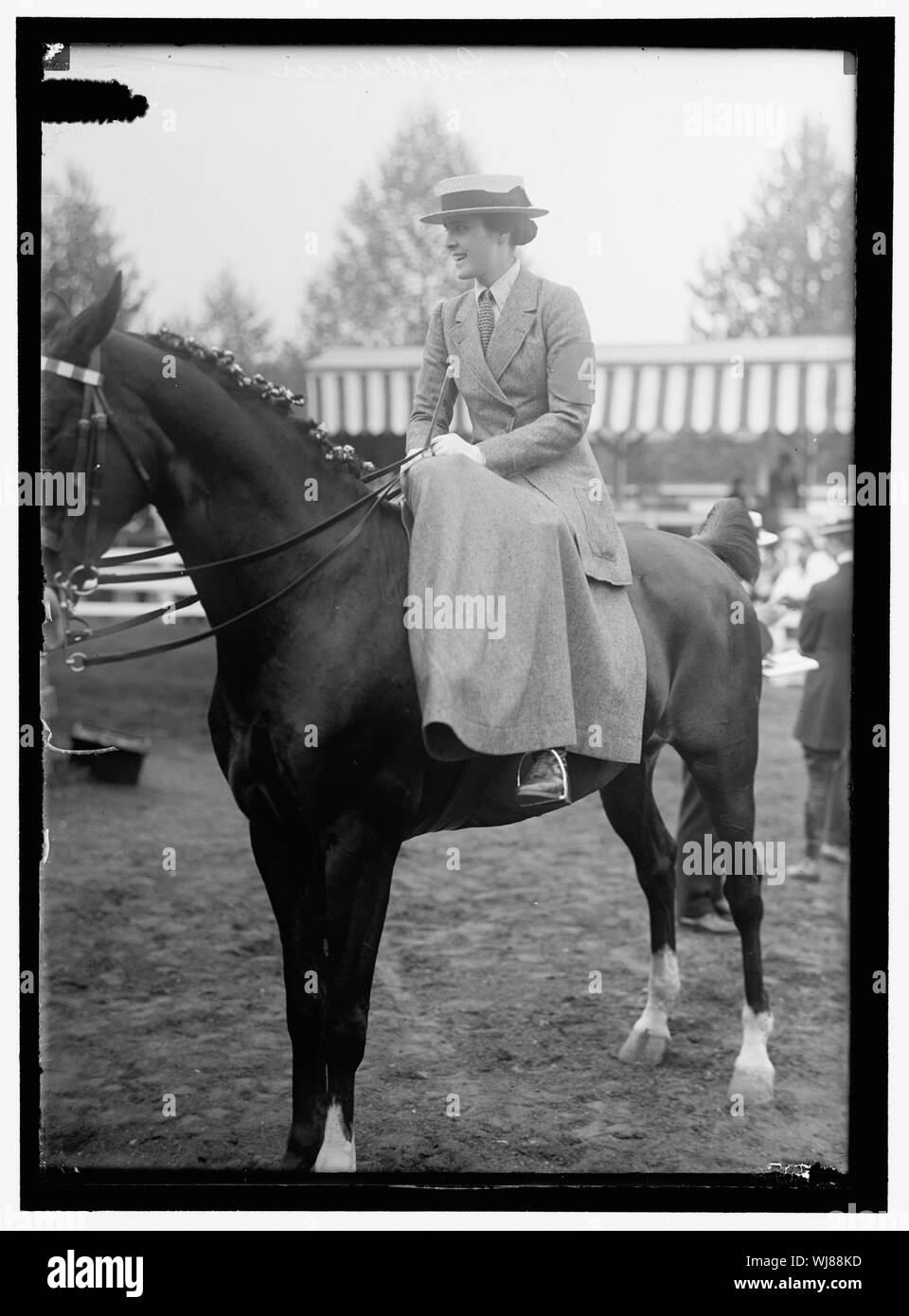 HORSE SHOWS. MRS. C.A. MUNN Stock Photo Alamy