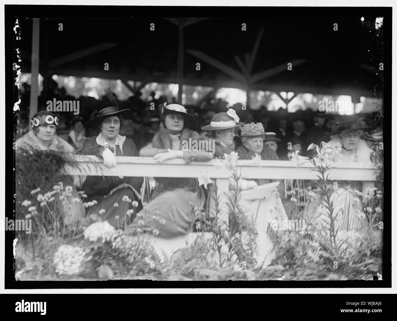 HORSE SHOWS. SOCIETY Stock Photo Alamy