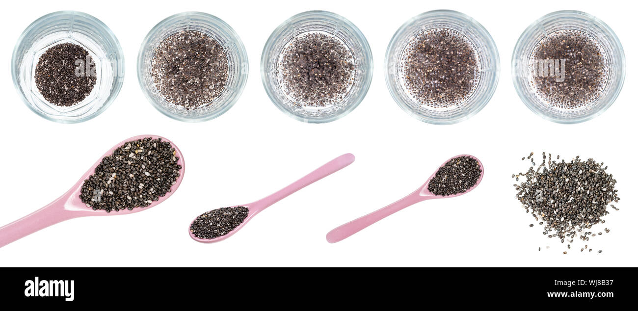 dry and water absorbed chia seeds cut out on white background Stock