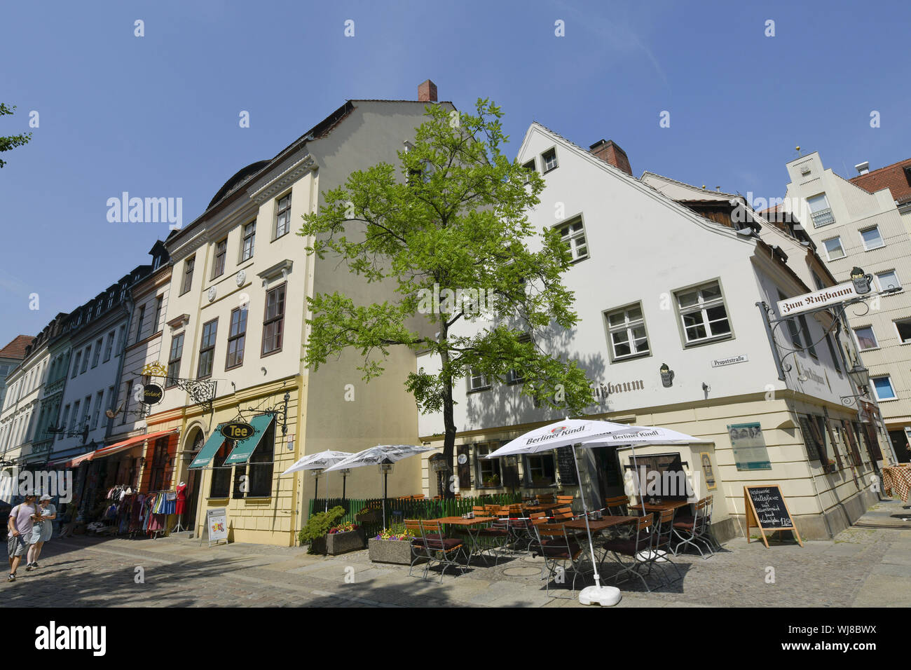 Old Town, view, Outside, Outside, outside view, outside view, Berlin, Berlin middle, Germany, middle, Nikolaiviertel, Nikolai quarter, walnut-tree, wa Stock Photo