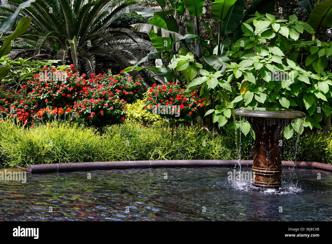 East Conservatory, indoor garden, moving water, fountain, red flowers