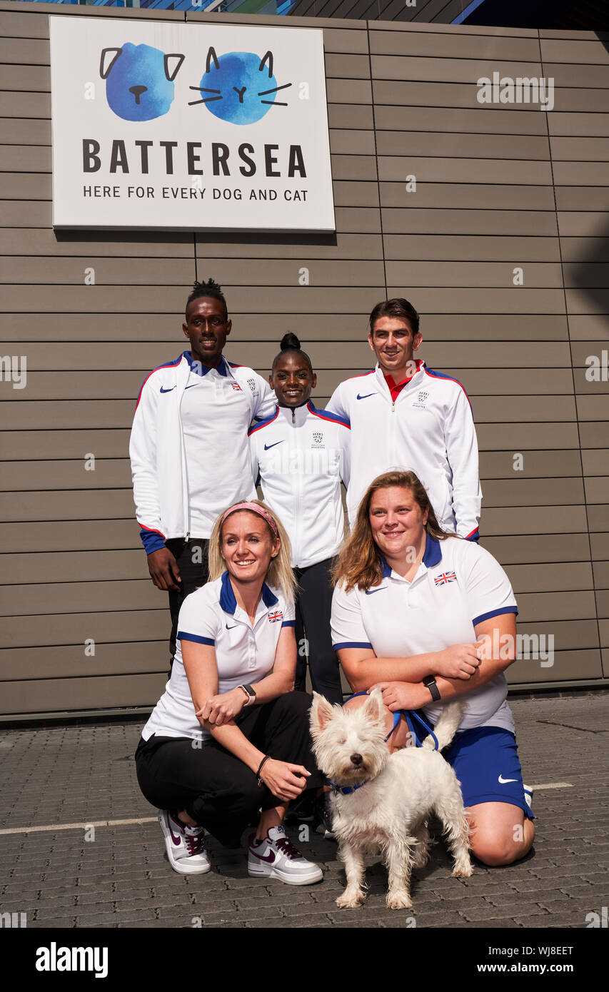 Team Launch Battersea Dogs Hi res Stock Photography And Images Alamy