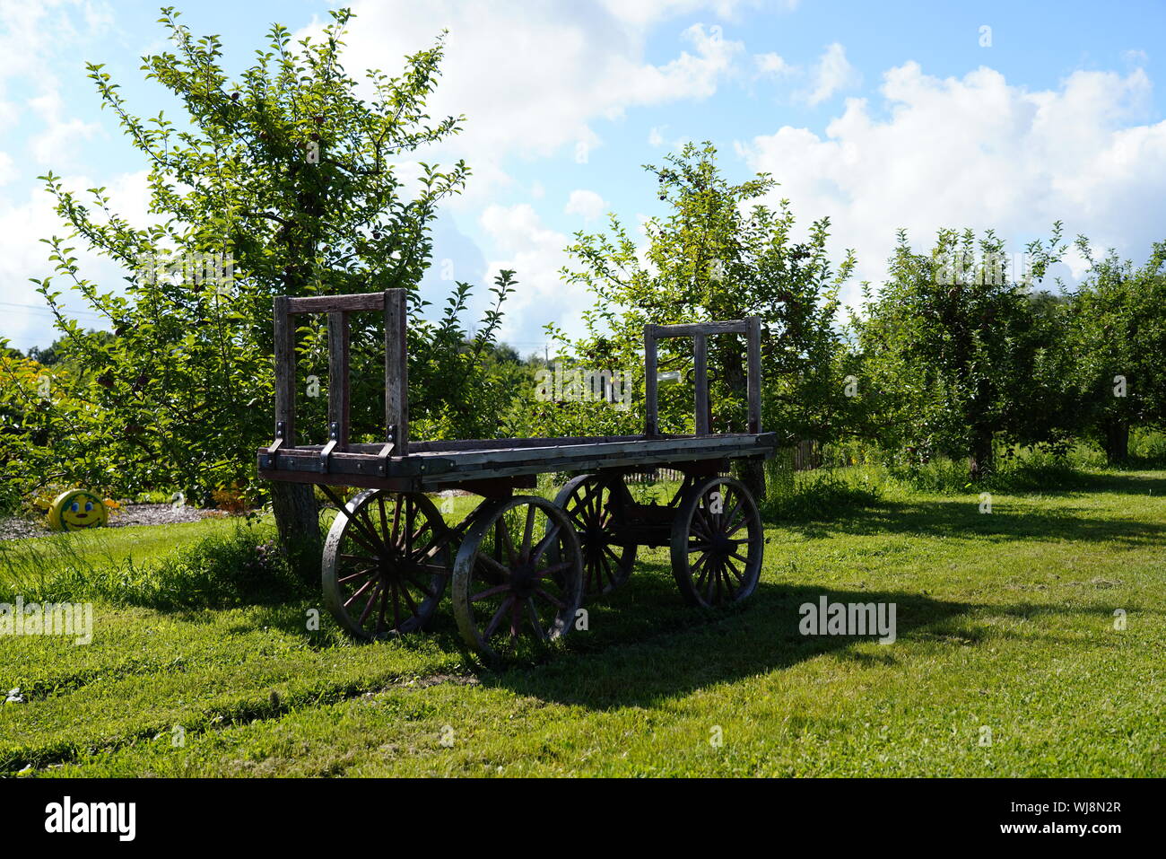 carriage, wooden, old, wood, transportation, vintage, transport, wheel