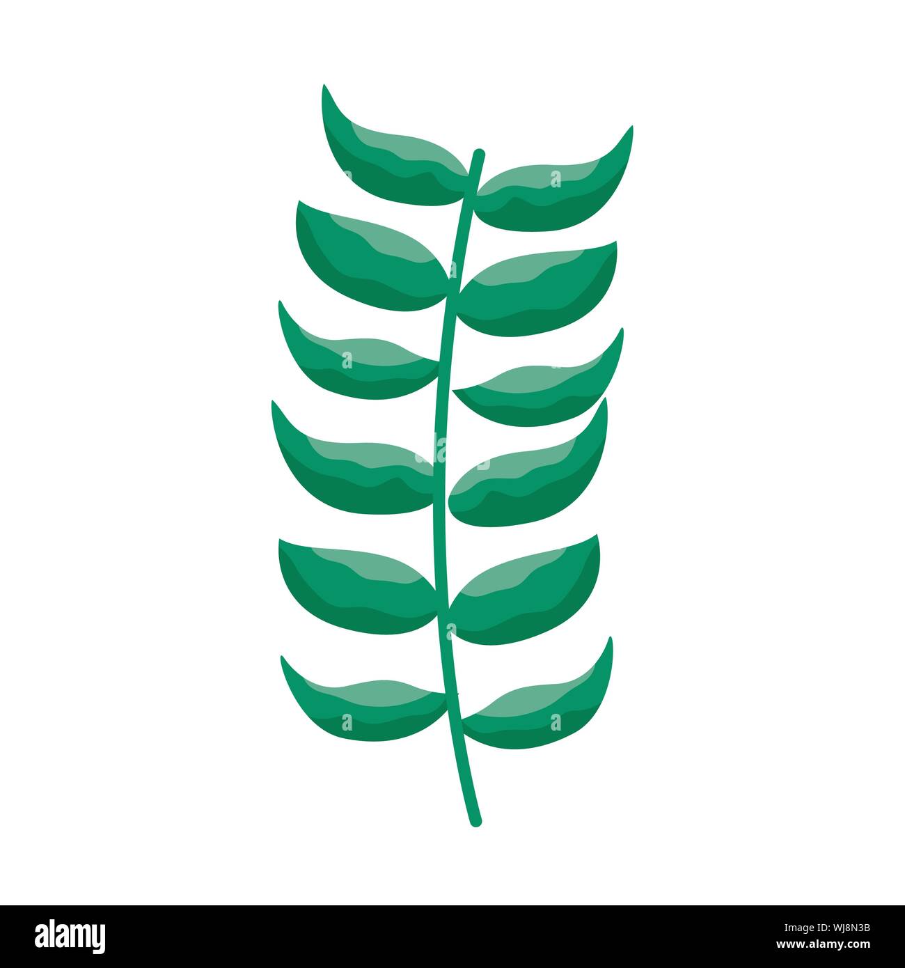 Isolated leaves vector design Stock Vector Image & Art - Alamy