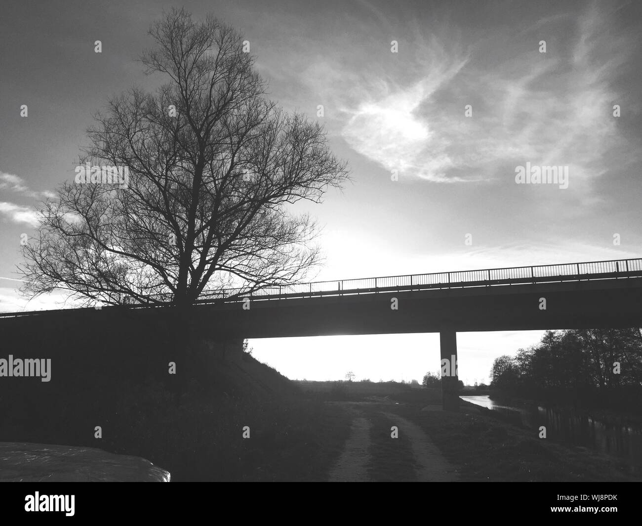 Low Angle View Of Tree By Bridge Over Pathway Against Sky Stock Photo