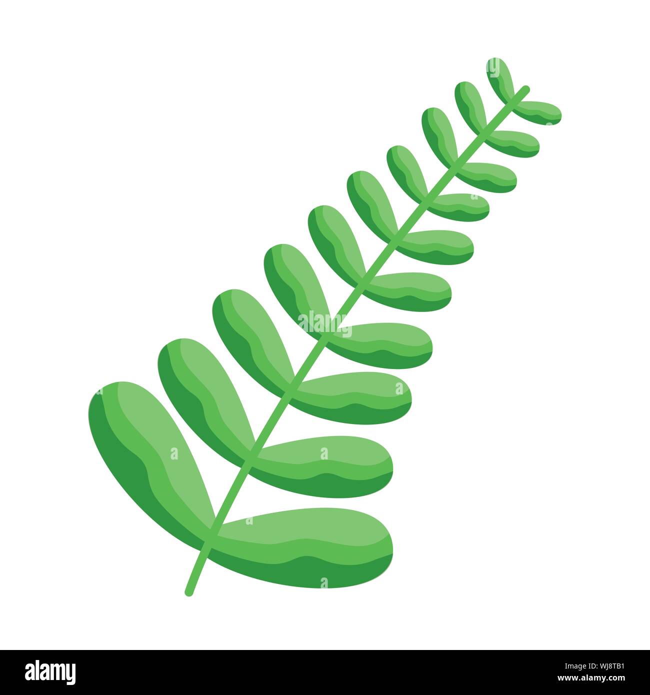 Isolated leaves vector design Stock Vector Image & Art - Alamy