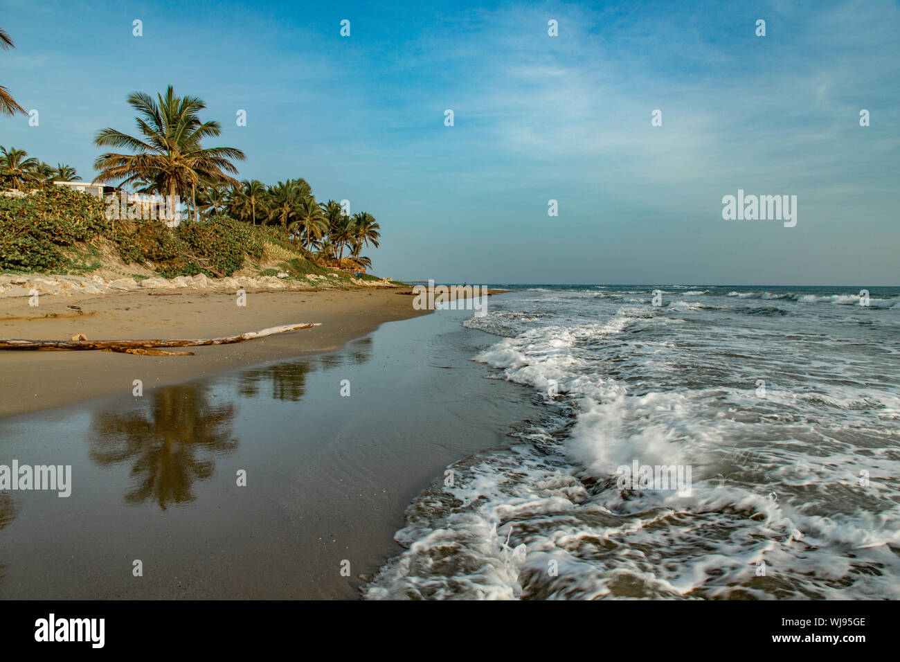Tropical coastline landscape with palm trees and ocean waves at sunrise 