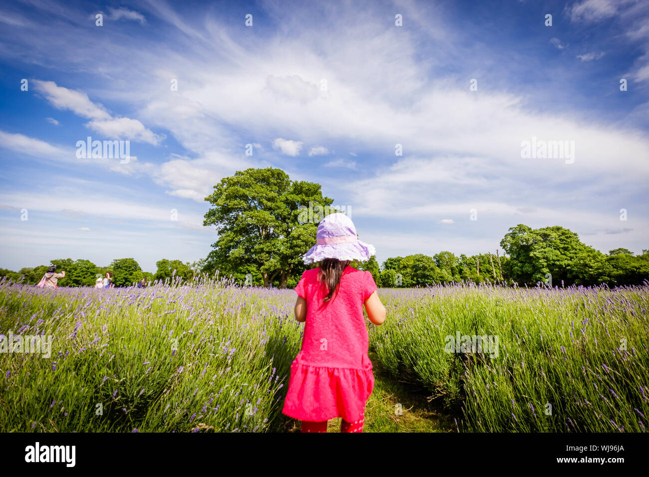 Rear View Of Girl Walking On Field Amidst Grass Stock Photo