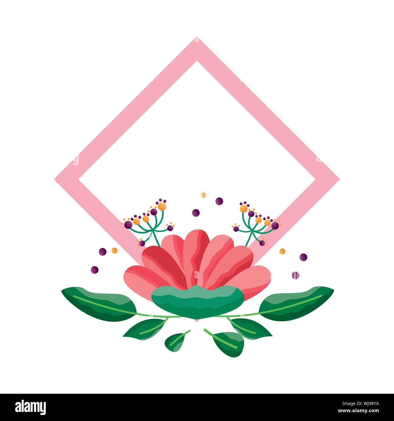 Isolated flowers frame vector design Stock Vector Image & Art - Alamy