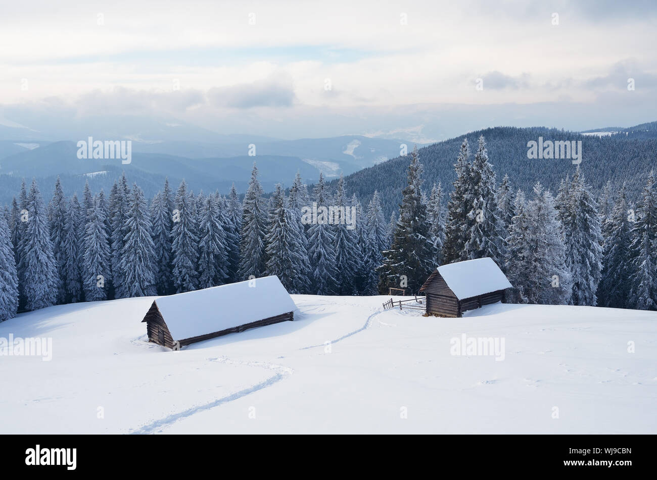 Winter landscape of a mountain valley with huts. Carpathian Mountains, Ukraine, Europe Stock Photo