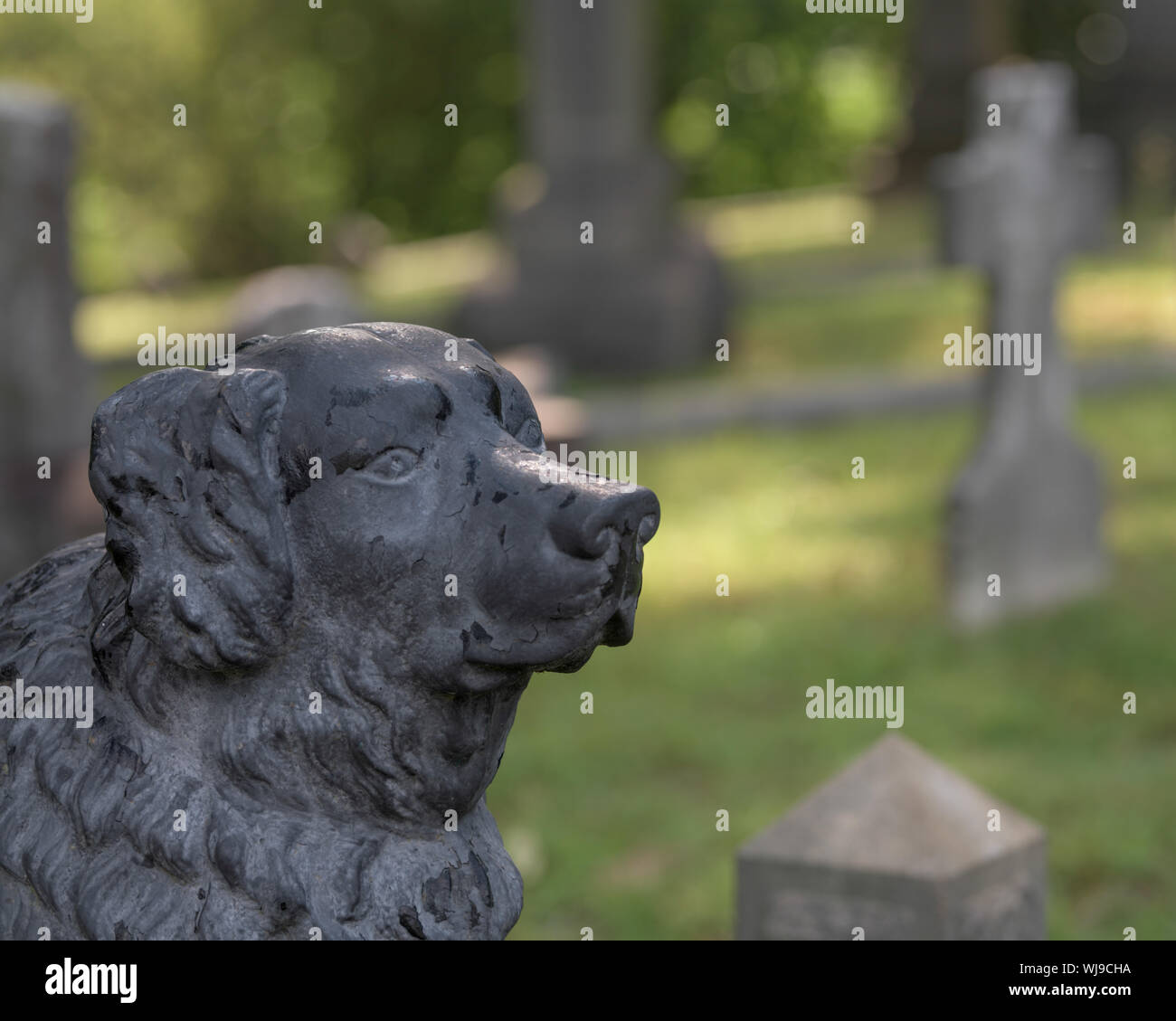 Cast iron Newfoundland dog looks over tomb of young girl at Hollywood Cemetery in Richmond, Virginia Stock Photo