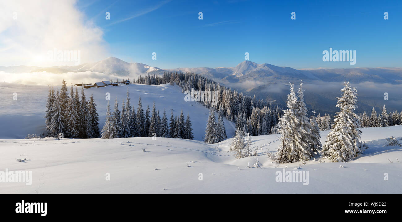 Winter panorama of mountain scenery in the morning. First sunlight. Carpathians, Ukraine, Europe Stock Photo