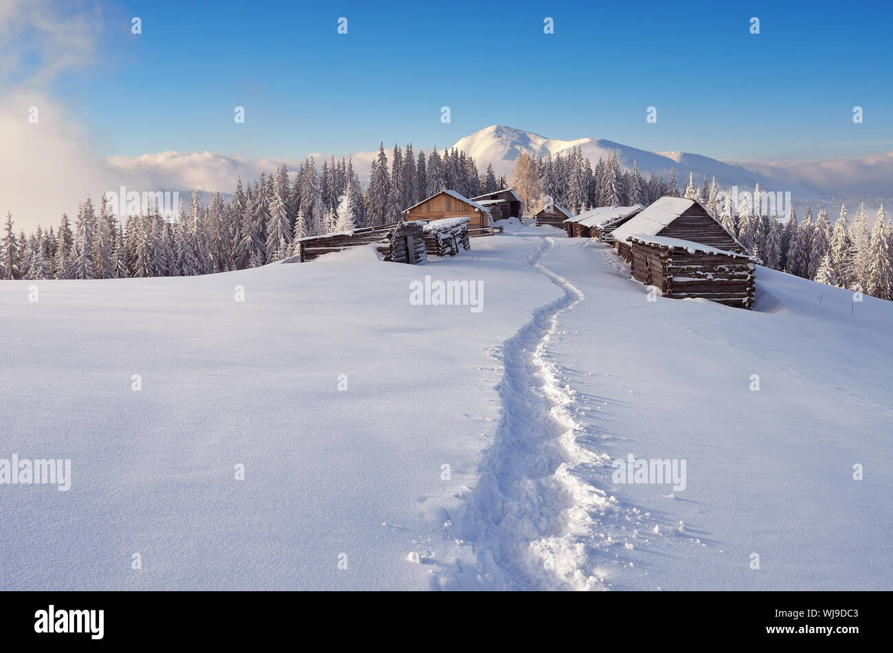 Winter landscape with a path to the mountain village of shepherds. Carpathians, Ukraine, Europe Stock Photo