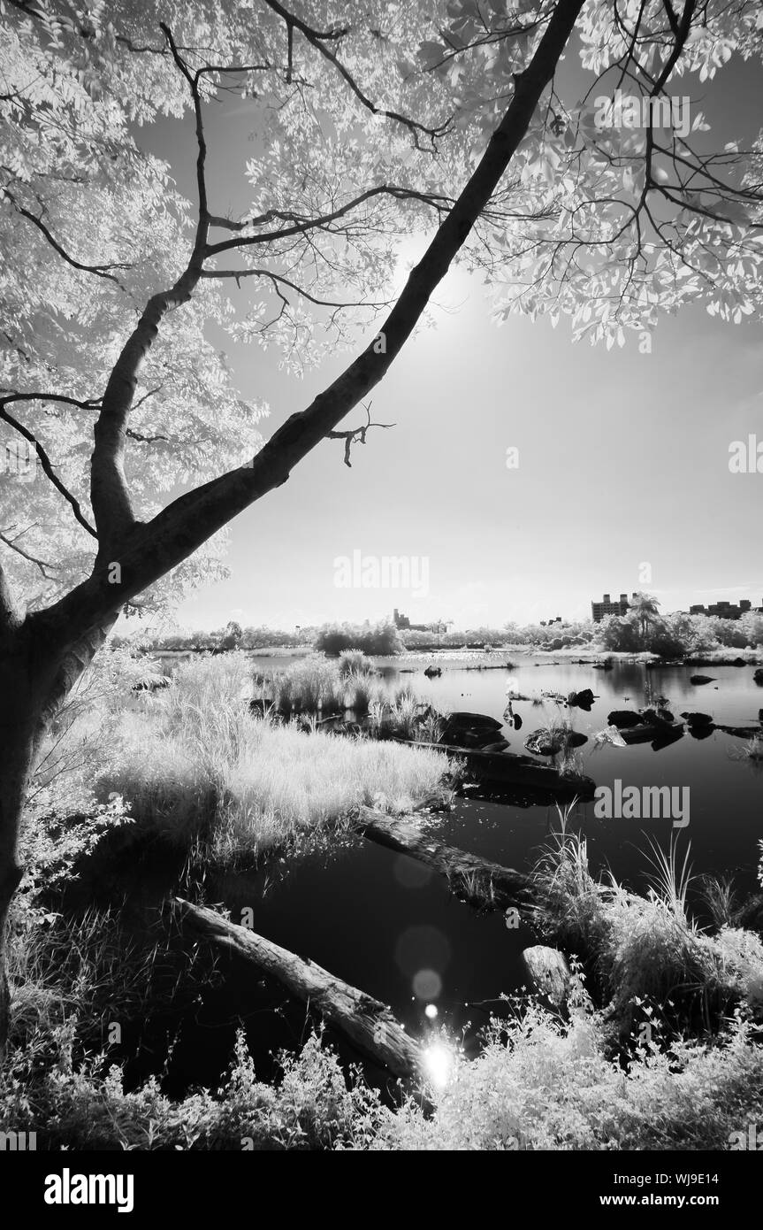 Paradise pond Black and White Stock Photos & Images - Alamy
