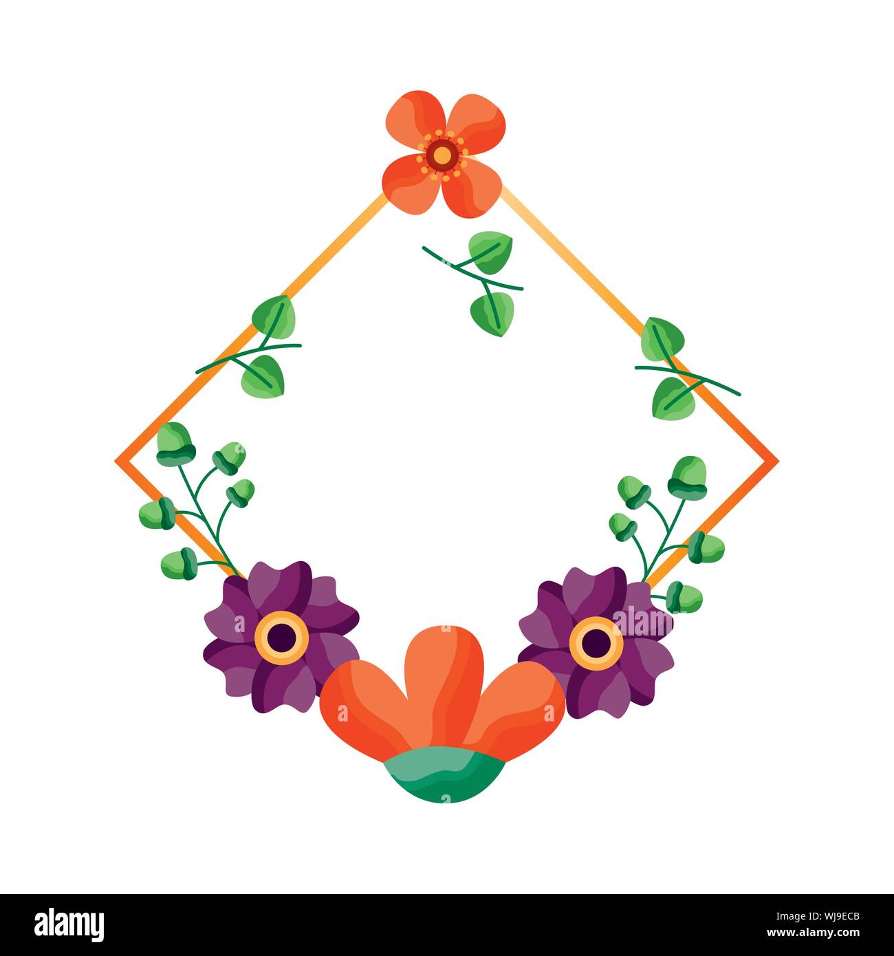 Isolated flowers frame vector design Stock Vector Image & Art - Alamy