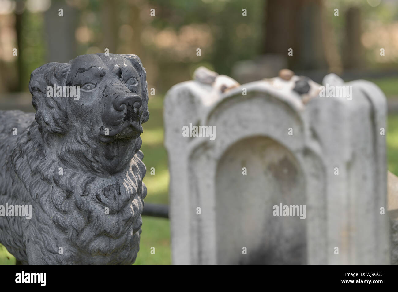 Cast iron Newfoundland dog looks over tomb of young girl at Hollywood Cemetery in Richmond, Virginia Stock Photo