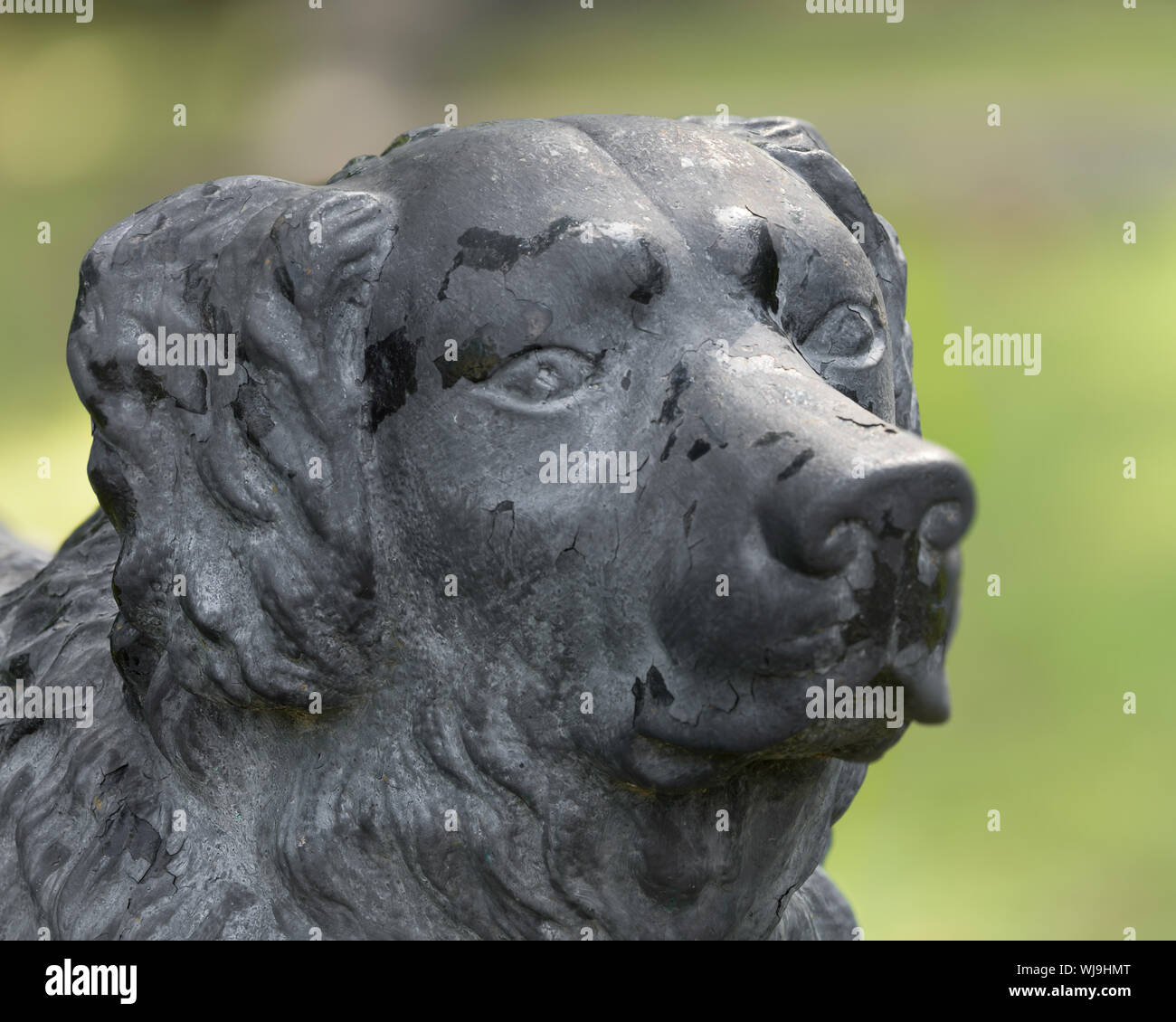 Cast iron Newfoundland dog looks over tomb of young girl at Hollywood Cemetery in Richmond, Virginia Stock Photo