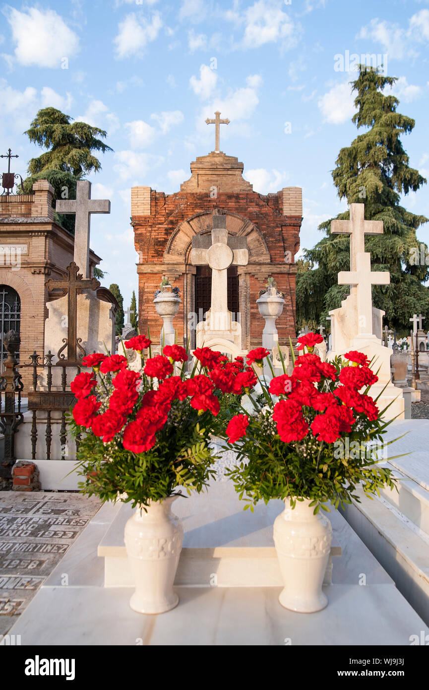 SPAIN, SEVILLE: The 1st of November is All Saints Day. People visit cemetaries and lay down flowers like here on San Jeronimo Cemetary. Stock Photo