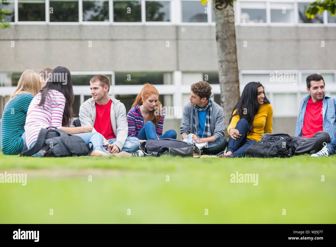 Group of young college students sitting in the park Stock Photo - Alamy