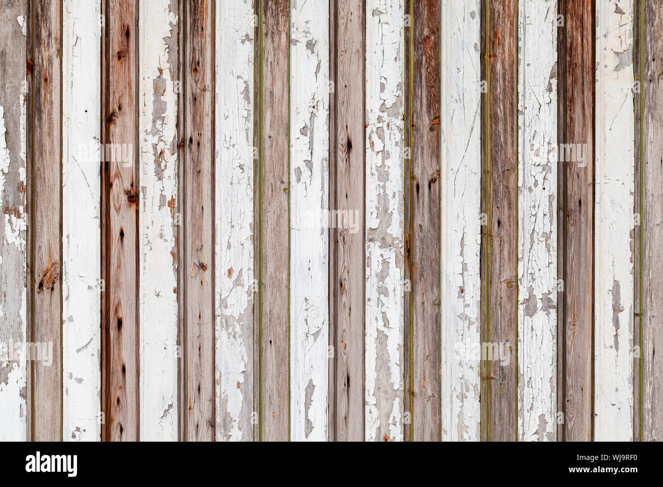 Old white wooden wall with grungy paint layer over vertical planks ...