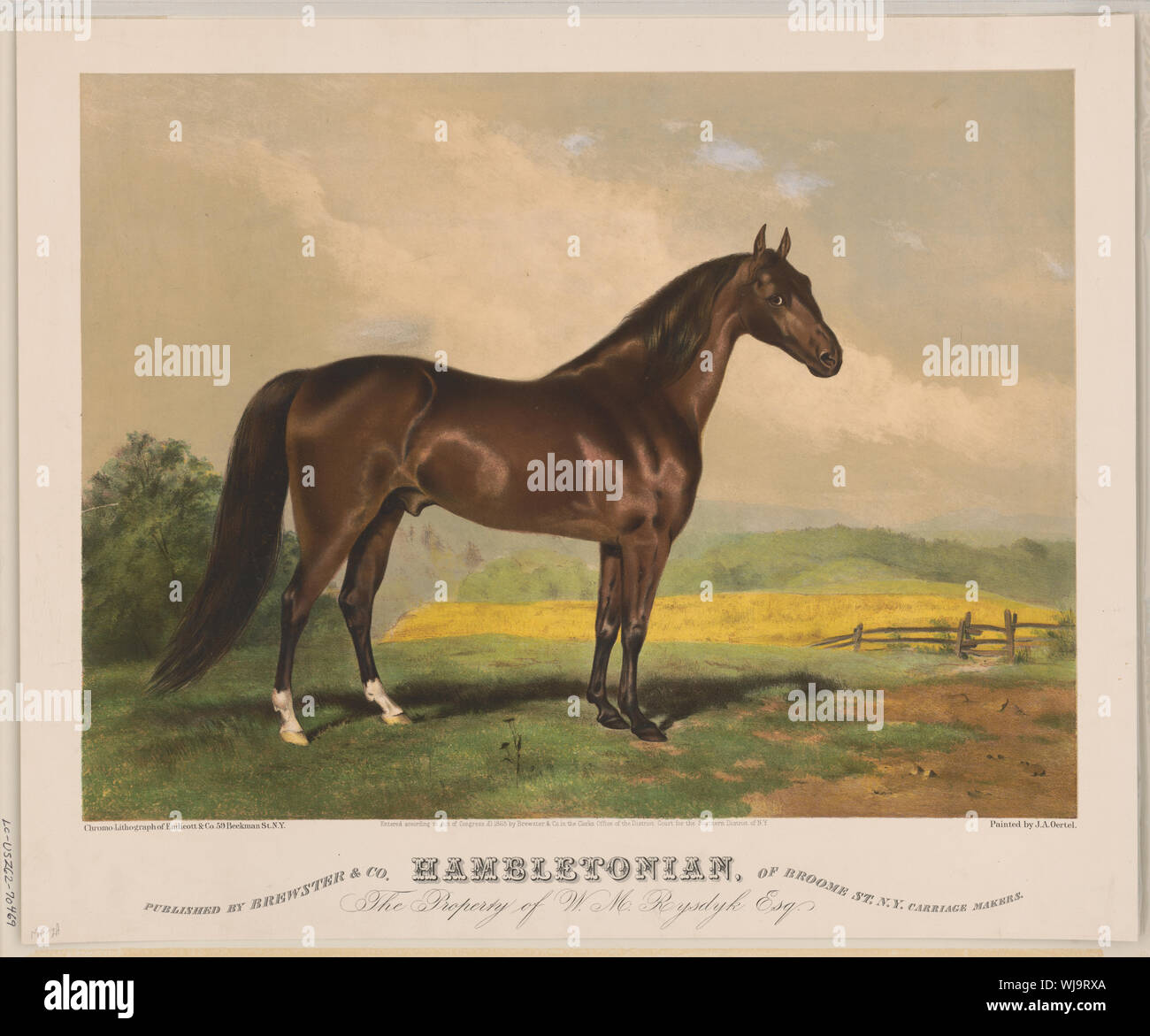 Hambletonian hires stock photography and images Alamy