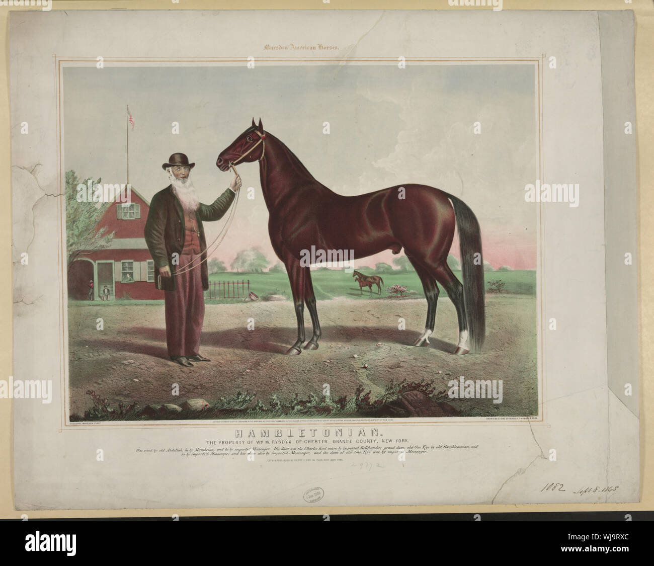 Hambletonian hires stock photography and images Alamy