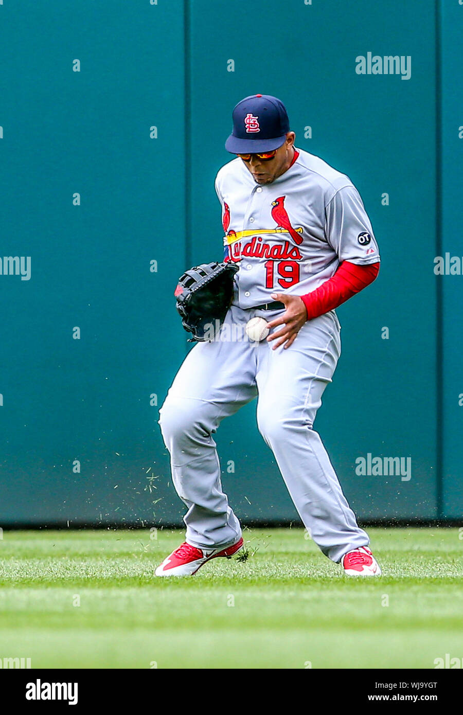 Baseball pants hi-res stock photography 