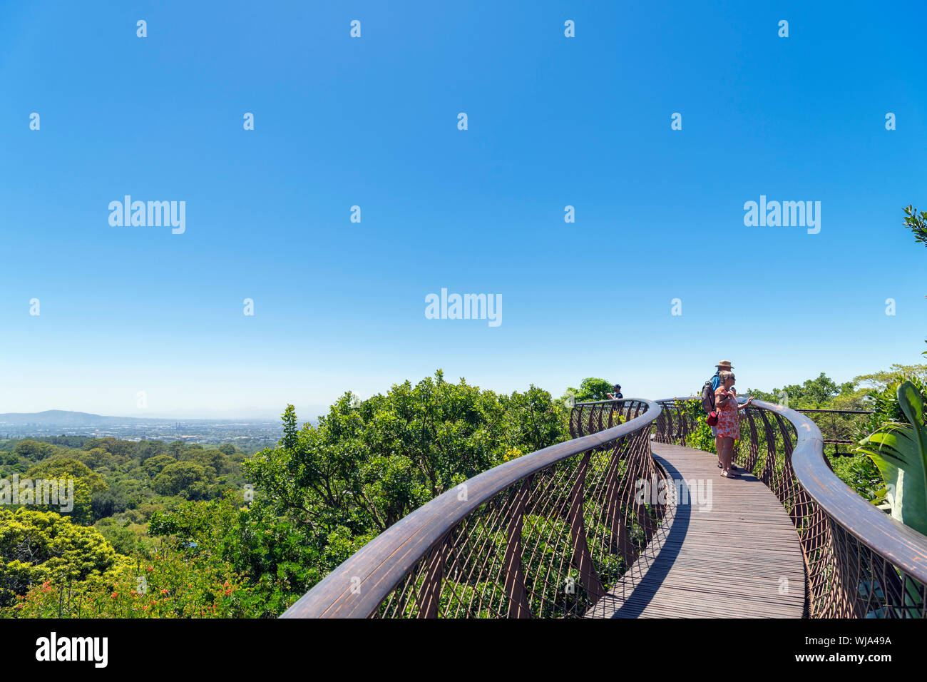 The 'Boomslang' Centenary Tree Canopy Walkway, Kirstenbosch National Botanical Garden, Cape Town, Western Cape, South Africa Stock Photo