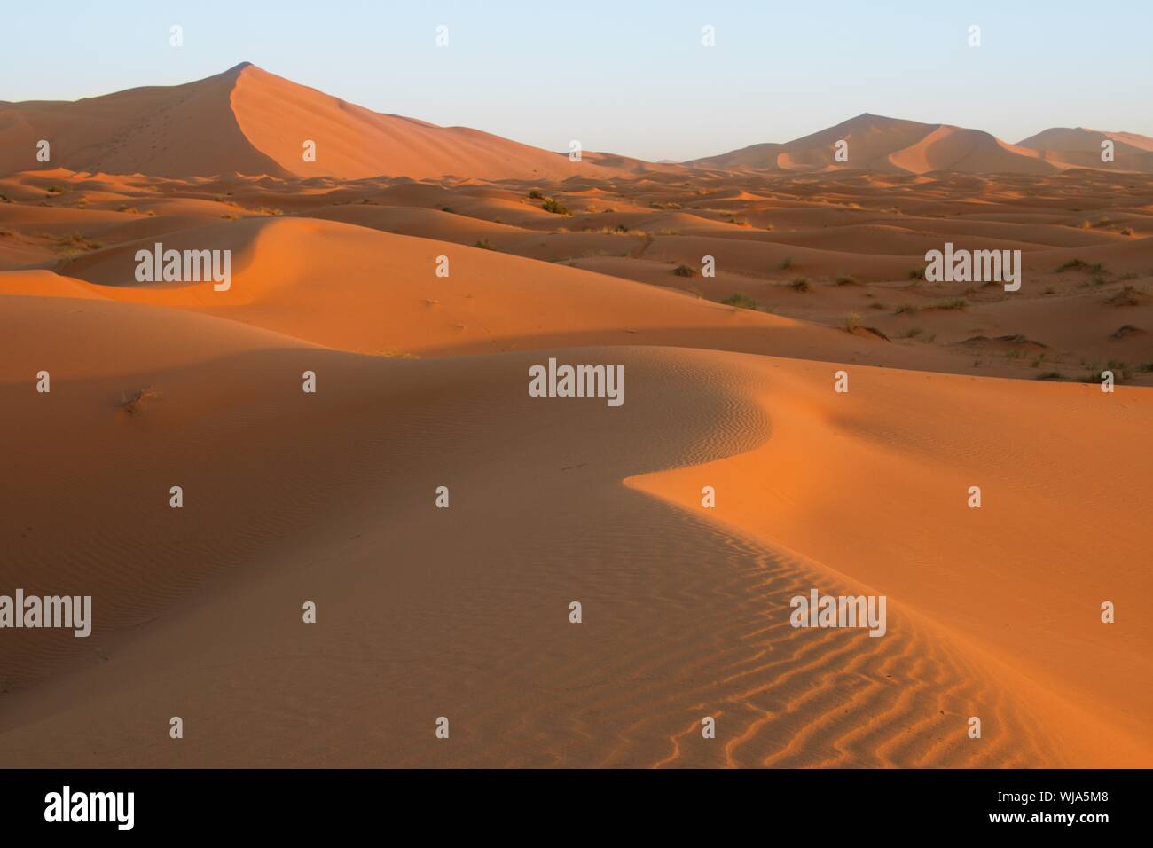 Sahara sand dunes of erg Chebbi, Morocco, Africa Stock Photo