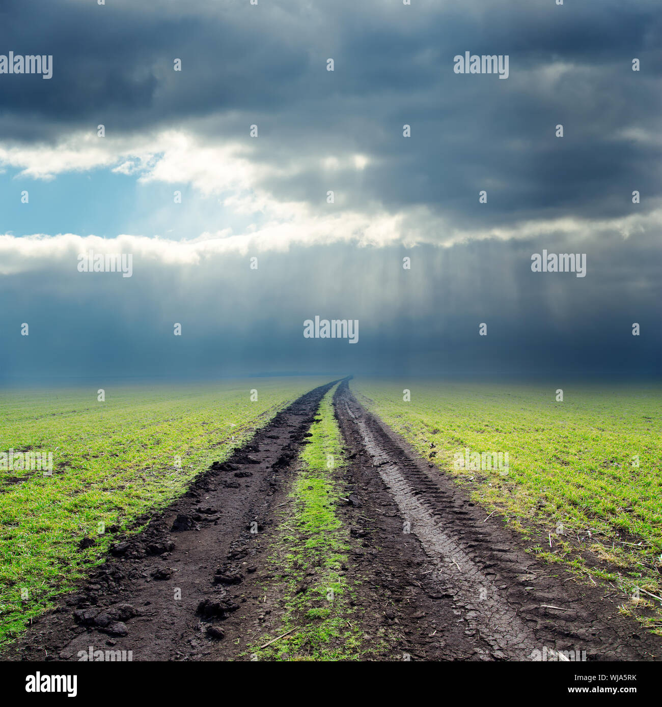road in green field to low clouds in horizon Stock Photo - Alamy