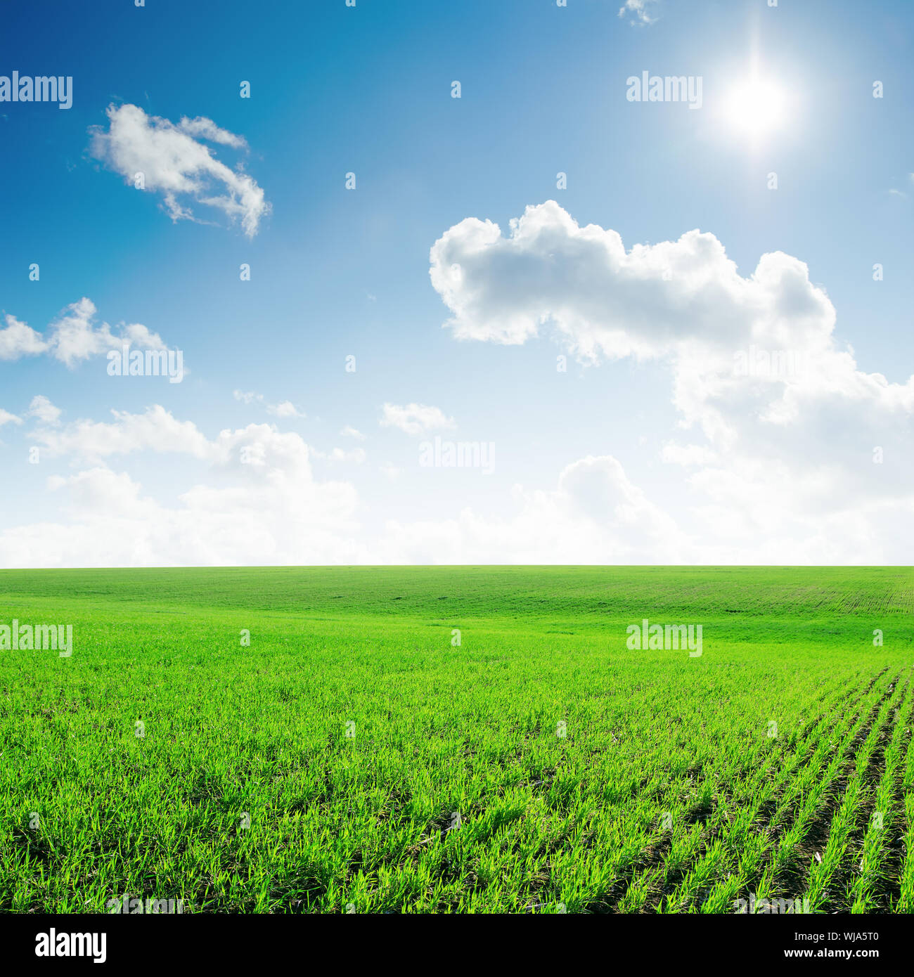 sun in blue sky with clouds and green field Stock Photo - Alamy