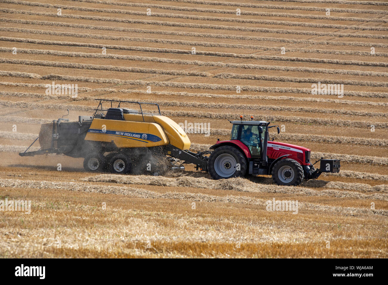 Hay Baler - farm machinery used to compress a cut and raked crop (such as hay, cotton, flax straw, salt marsh hay, or silage) into compact bales that Stock Photo