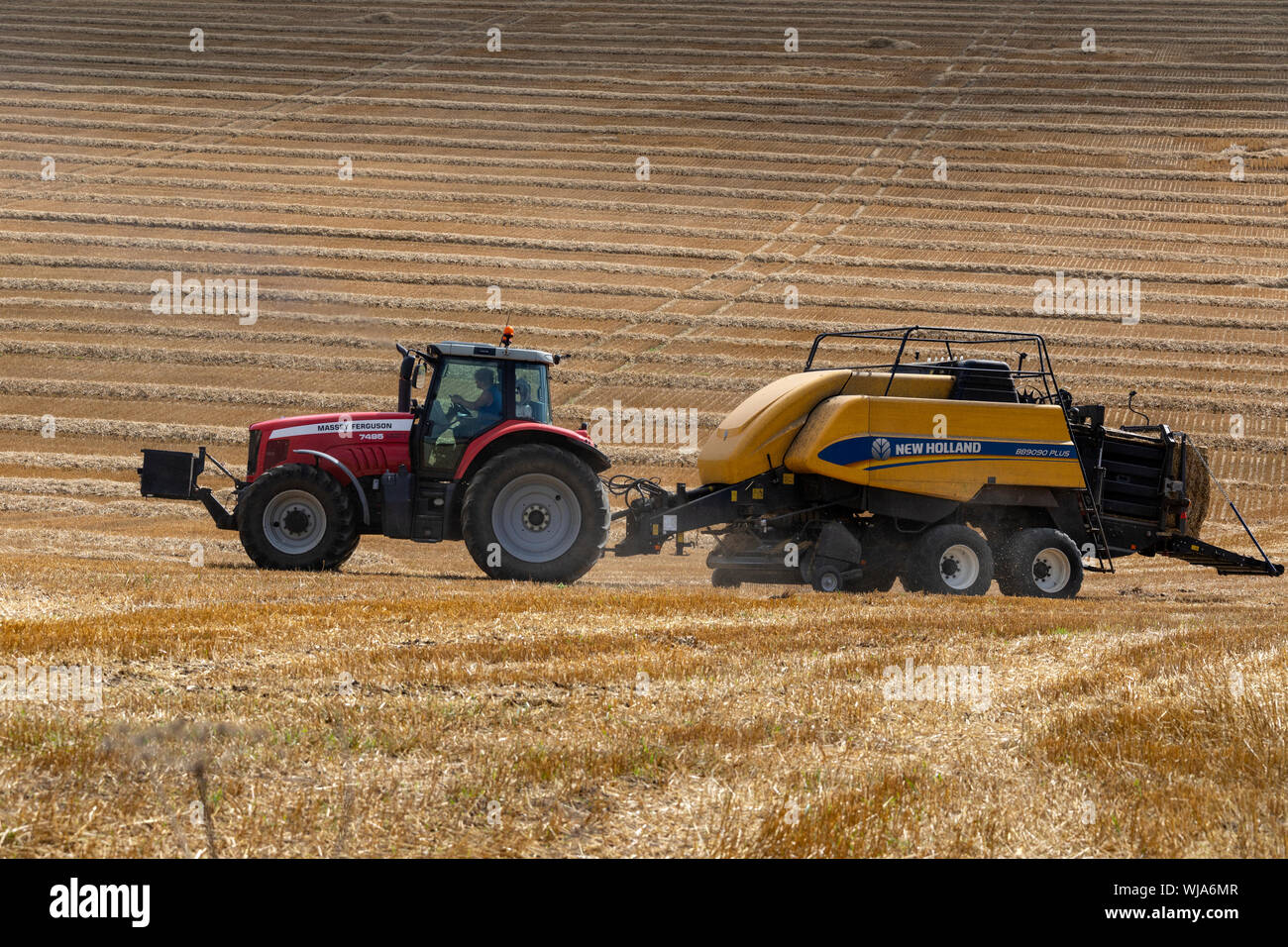 Hay Baler - farm machinery used to compress a cut and raked crop (such as hay, cotton, flax straw, salt marsh hay, or silage) into compact bales that Stock Photo