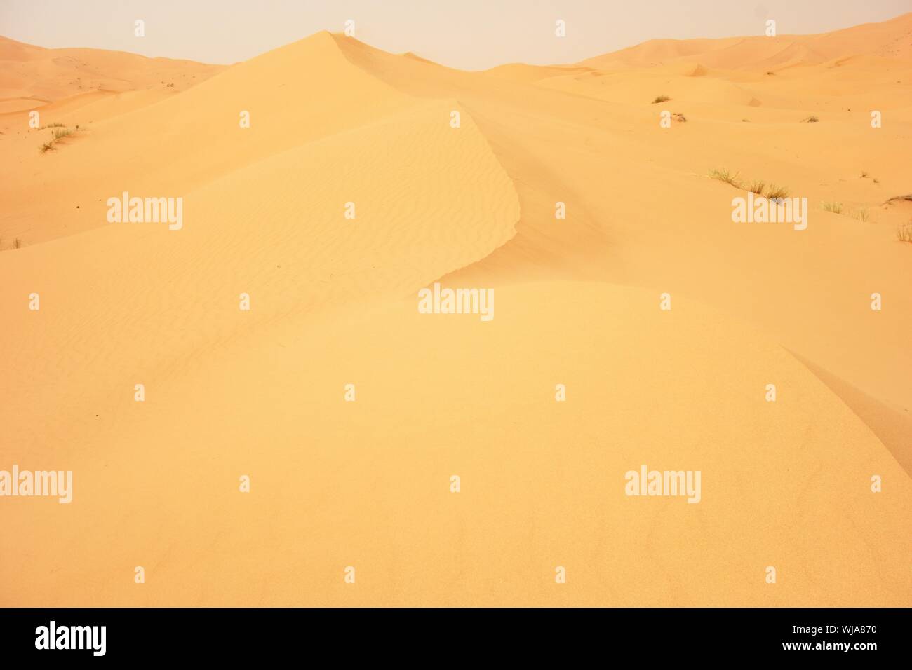 Sahara sand dunes of erg Chebbi, Morocco, Africa Stock Photo