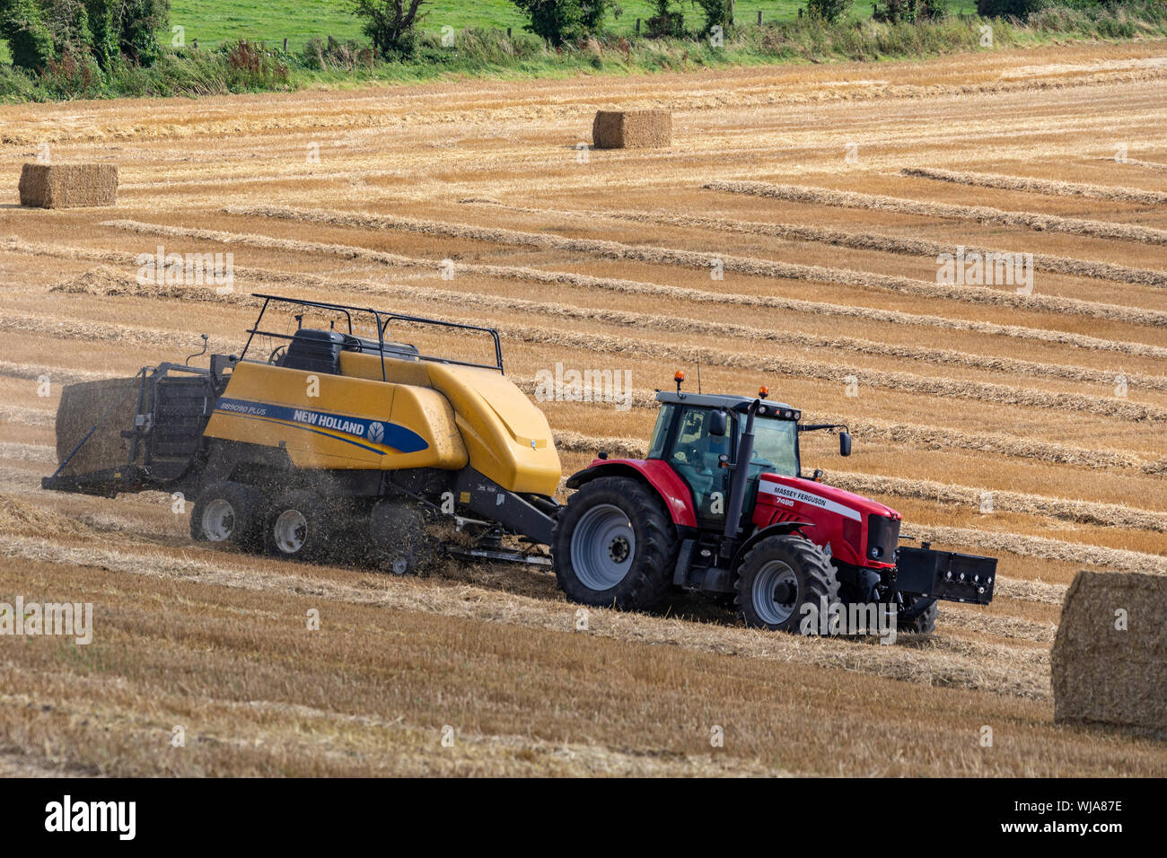 Hay Baler - farm machinery used to compress a cut and raked crop (such as hay, cotton, flax straw, salt marsh hay, or silage) into compact bales that Stock Photo