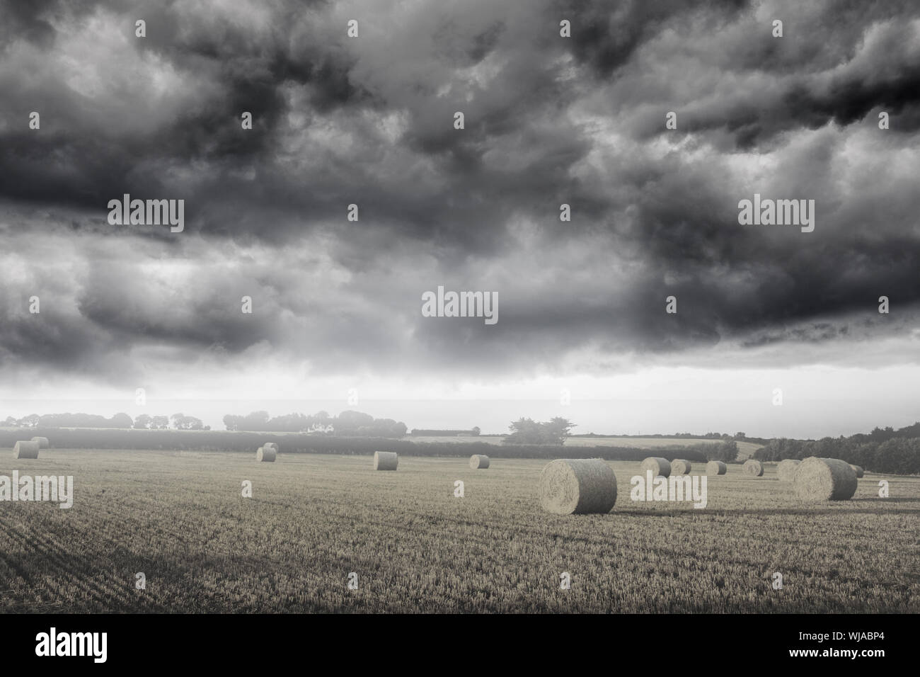 Misty landscape with bales of straw Stock Photo - Alamy