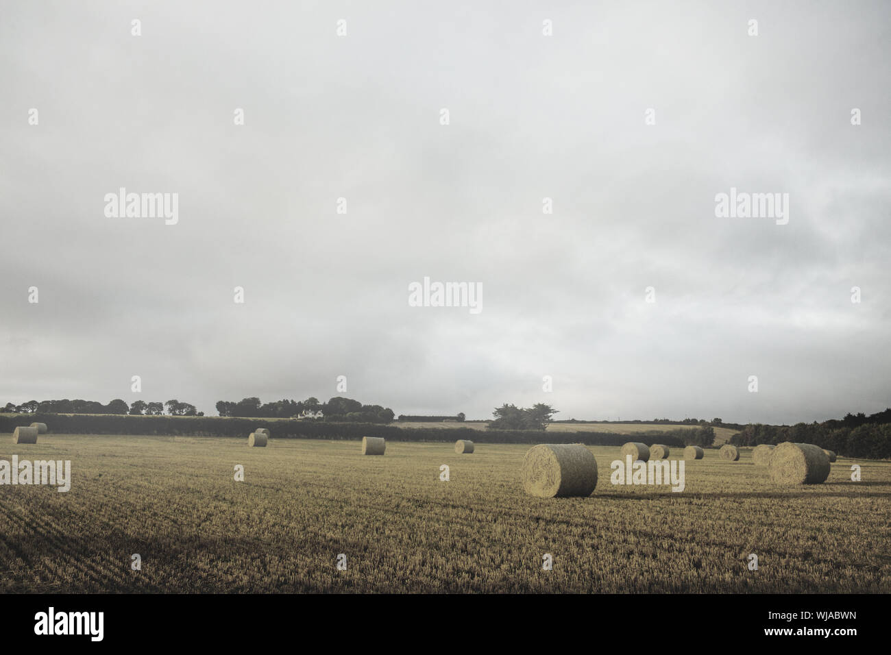 Landscape with bales of straw Stock Photo - Alamy