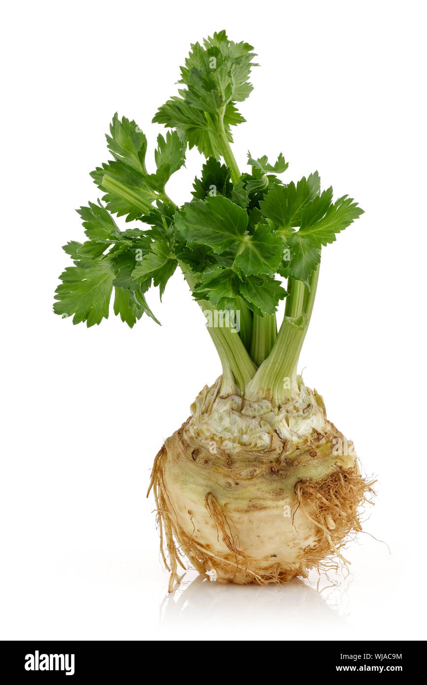 Fresh celeriac root with celery stalks isolated background Stock Photo