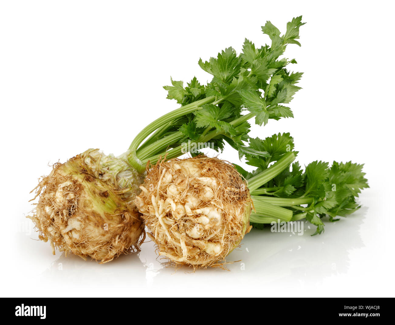 Fresh celeriac root with celery stalks isolated background Stock Photo