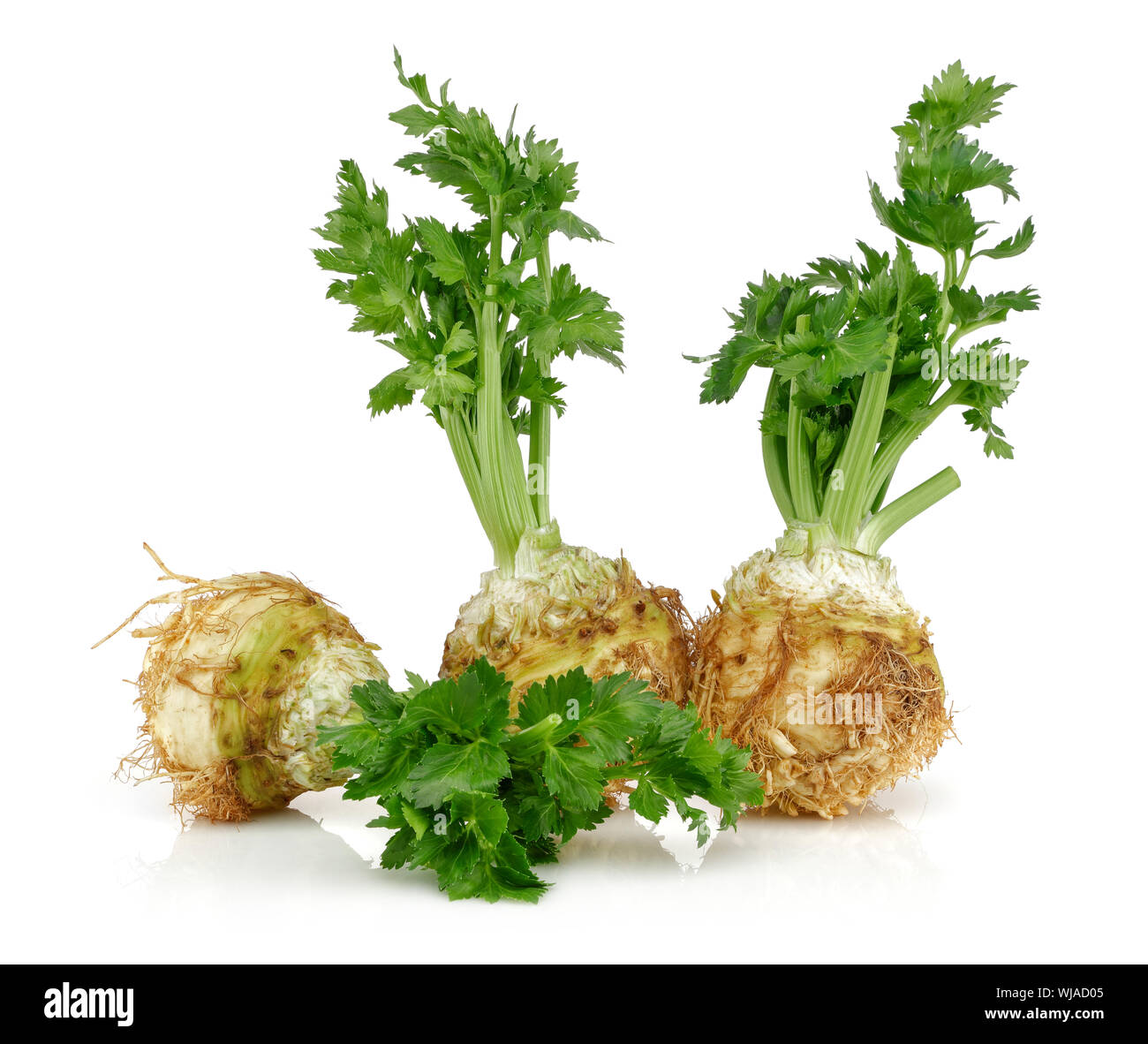 Fresh celeriac root with celery stalks isolated background Stock Photo