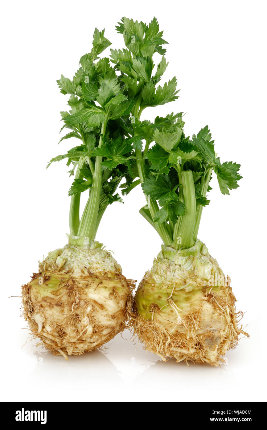 Fresh celeriac root with celery stalks isolated background Stock Photo