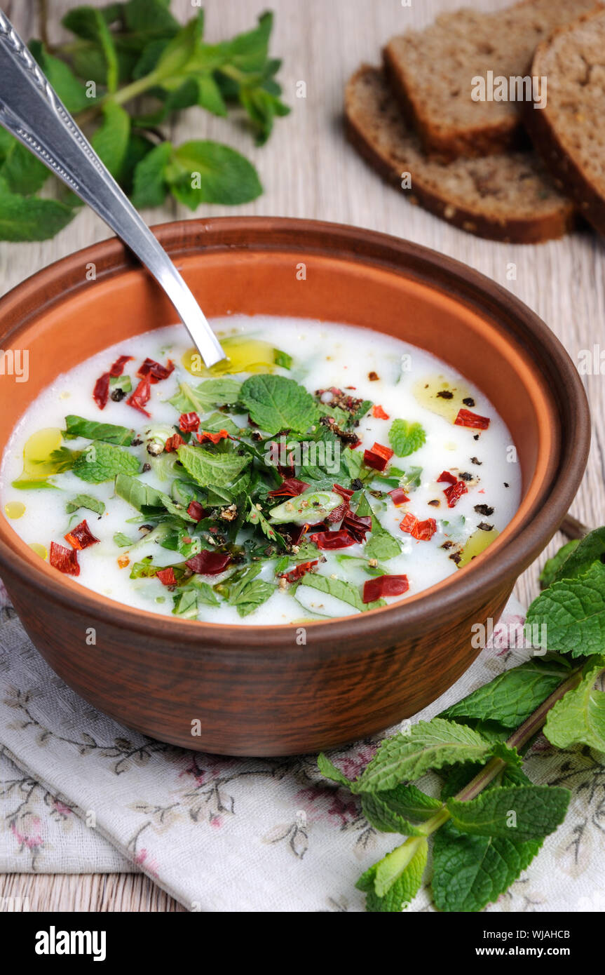 Refreshing сold summer soup the rice, mint and yoghurt, spices Stock