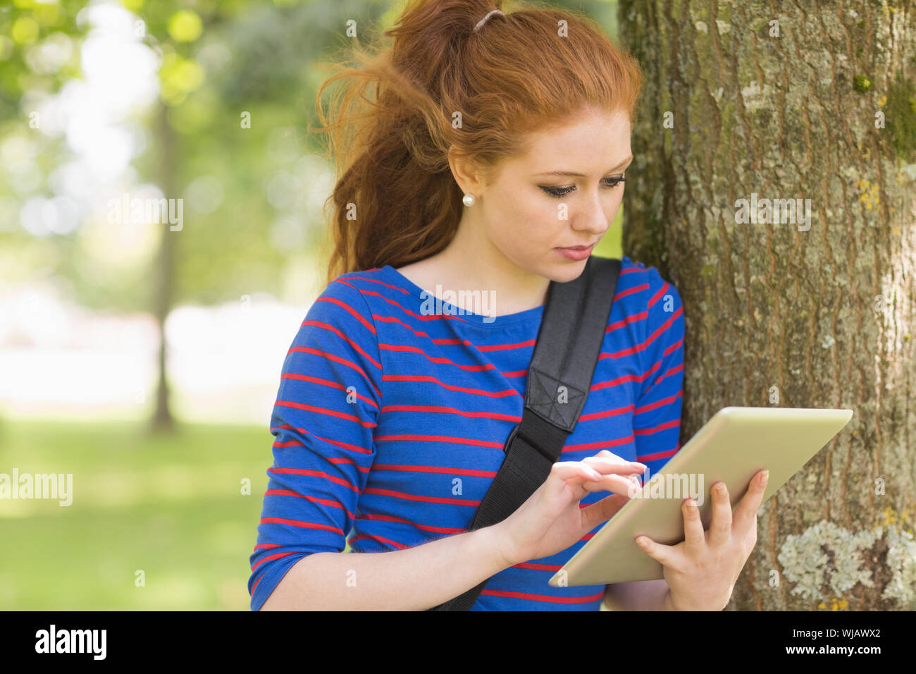 Redhead student leaning against a tree using her tablet Stock Photo