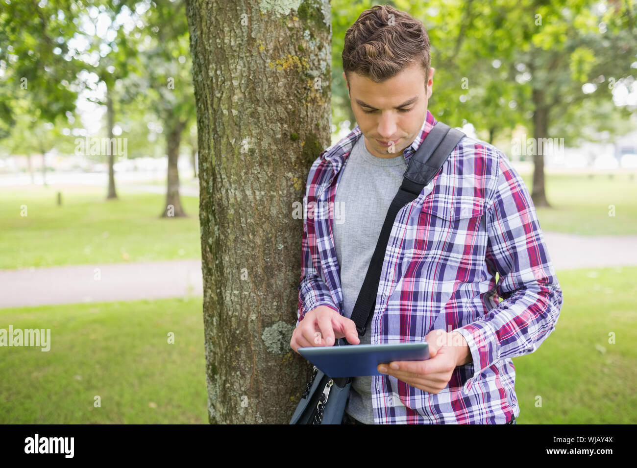 Handsome student leaning on tree using his tablet pc Stock Photo