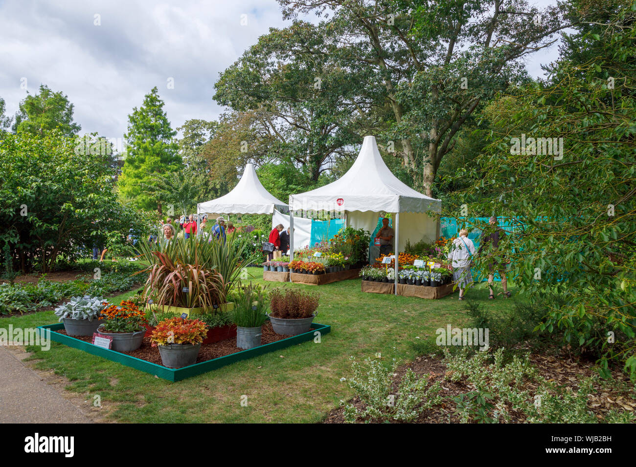 Stalls and display of flowers at the September 2019 Wisley Garden Flower Show at RHS Garden Wisley, Surrey, south-east England Stock Photo