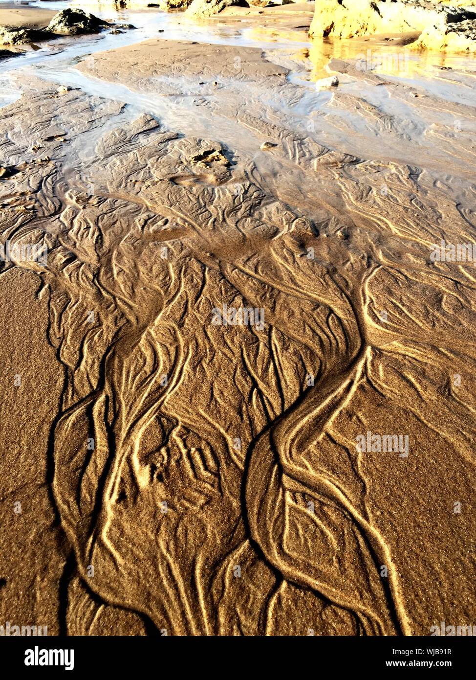 Sea shore pattern hi-res stock photography and images - Alamy