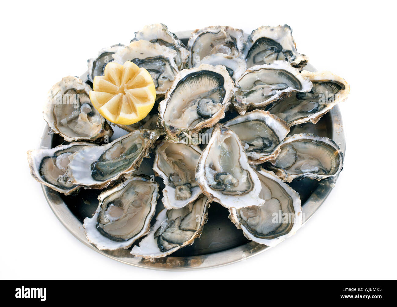 french oysters in front of white background Stock Photo Alamy