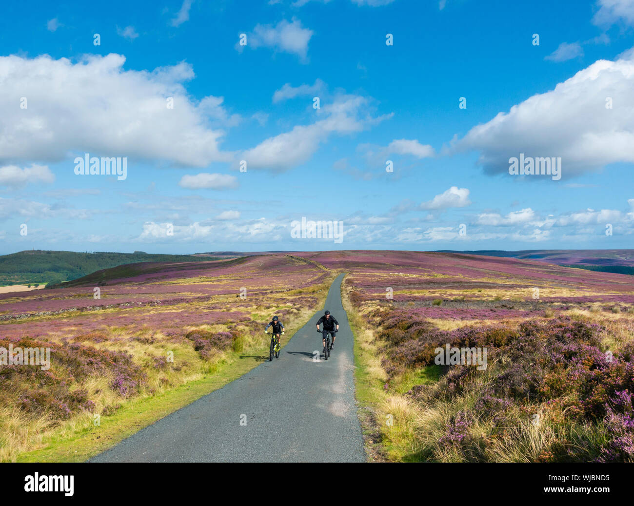 Mountain bikers on The Cleveland Way in The North York Moors National Park. North Yorkshire, England. UK Stock Photo